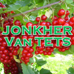 Jonkheer Van Tets