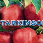 Starkimson