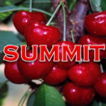 Summit