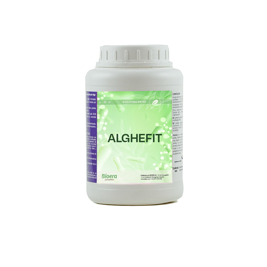 Alghefit alghefit