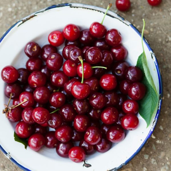 sour cherry