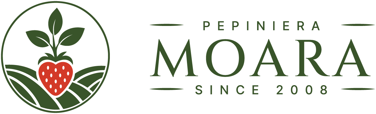 Pepiniera Moara
